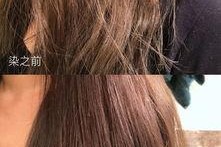 明星染发染发根