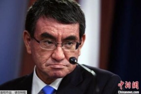 河野 资料,探寻历史足迹，传承文化精髓