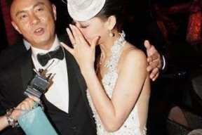 一辈子不结婚的明星